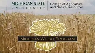 2020 Field Day - Precision planting in winter wheat