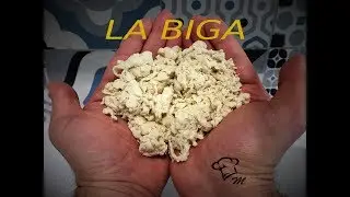 LA BIGA - Cosa è e come si fa.