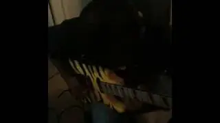 super guitar shred Dale Stephens rips