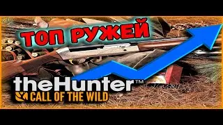 The Hunter Call of the Wild. 📊ТОП РУЖЕЙ (НЕТ)👍ТАБЛИЦА-СПРАВОЧНИК🔫 КАКОЕ РУЖЬЕ ВЫБРАТЬ?🤔