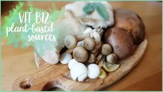 Plant-based vitamin B12 food & sources | Nutrition