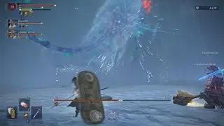 ファーム失敗してLv10のサポート学者で深度5常夜マリス