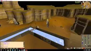 Pet golem. osrs