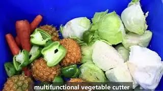 FC 301L vegetable cutter+ blanching machine, Cabbage Radish Green Pepper Peanut testing.
