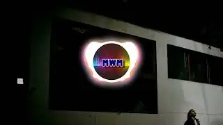 Particle House - Amy