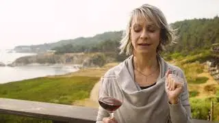 Why Do You Swirl Wine?