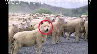 Collusion in the NASDAQ