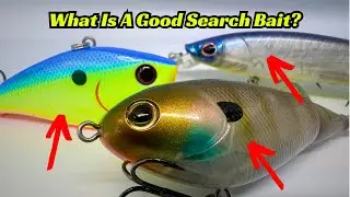 Here&rsquo;s Why Search Baits Are Critical To An Anglers Success For Big Bass!