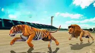Wild Animal Racing Android Gameplay