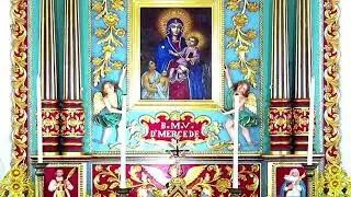 01 FEBRUARY 2026 - 11.30AM  ||  LIVE HOLY MASS  ||  VALLARPADAM SHRINE BASIL