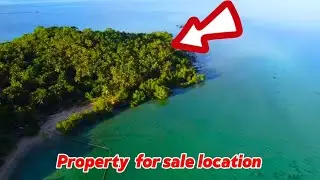 Not available (Vlog#096) 3,000 Sqm beach front for sale!  Free transfer of title.