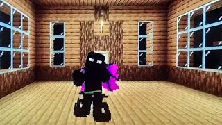 Rediffusions de Twitch:Minecraft &eacute;pisodes 2