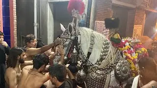 Baramdagi Zuljanah 27 Muharram 2025 Mohalla Shia Mochi gate Lahore #foryou