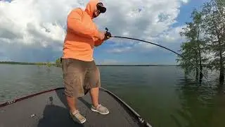 They were still stacked up!