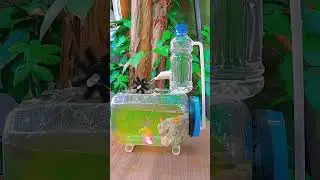 akuarium mini air mancur tanpa pompa pake toples dan botol bekas