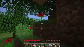 Minecraft w/ Serinide Ep 1 (The Beginning)