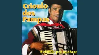 O Peito do Pedro É Preto