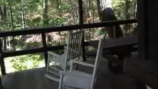 Gypsy Spring Cabin