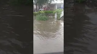 Heavy rain in Rajasthan #short #trending #viral #youtubeshorts