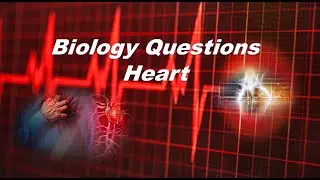 Science biology question knowledge - Heart