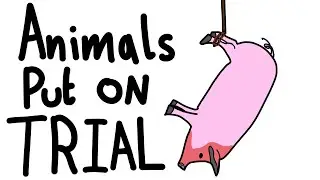 Animals Breaking The Law