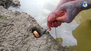Catching Eel Fish From a Hole With Hook | Natural Fishing BD