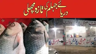 Fresh fish from the Jhelum River