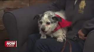 Pet of the Week!