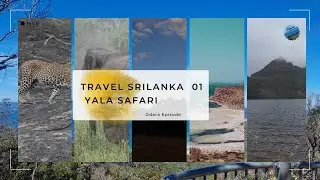 Yala Safari Sri Lanka's most spectacular safari.