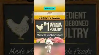 Why Merrick Purrfect Bistro Grain Free Cat Food is Perfect for Adult Cats! #cat #catfood #catlover