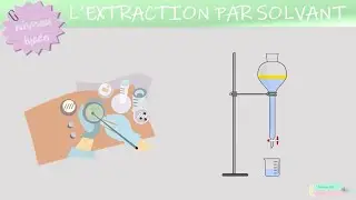 Extraction par solvant | 1&egrave;re | Lyc&eacute;e | Physique-chimie| M&eacute;thode 💡