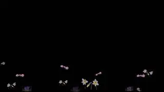 Plants blooming overlay