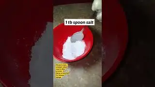 how to get rid of flies within seconds#kitchenhacks#viral#shorts