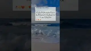 beshak #islamic #whatsapp Urdu status #status #urduquotes #shorts quotes Urdu best