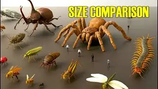 Unimaginable! If Mosquitoes Grew 1000 Times | Giant Killer Insects Scale