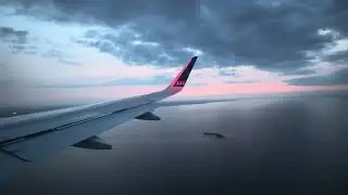 Evening Landing at Copenhagen - SAS - Airbus A320neo - LHR to CPH