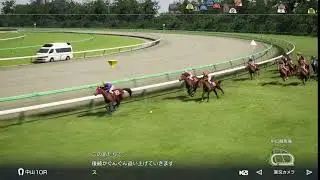 ウイニングポスト10 2025 No.1