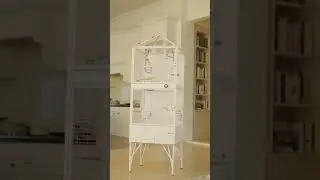 Smart Cage for Birds