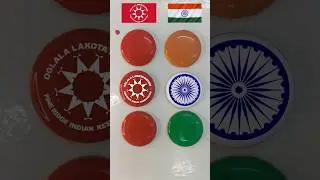 Oglala lakota Nation and India flag painting on coins #funny #shorts #love
