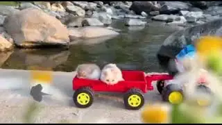Funny Videos and Cutest BabiesBeb&eacute; MonoBonBon Eat Rainbow Jelly And swimming With Cute