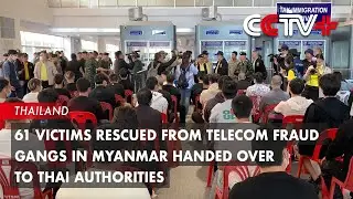 61 Victims Rescued from Telecom Fraud Gangs in Myanmar Handed Over to Thai Authorities