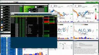 Trade Ideas FREE Live Trading and Support Room