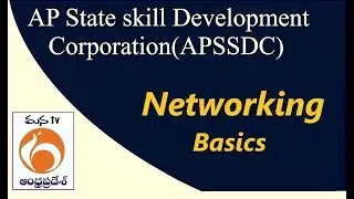 APSSDC | Google IT Support Professional Certification Course | Networking Basics