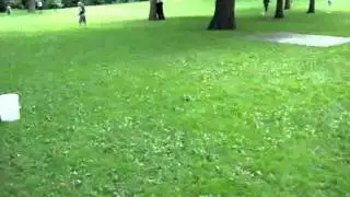 Late August MN Nerf War- Carpe Testiculum