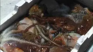La marineria di sciacca