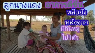ล่าสุดลูกนางแดงหายดีหลือยังเลื่องผีอยากกินหมู1ตัว🇱🇦❤️🇹🇭#บ่าวลาวพาเพลิน#18/1/26
