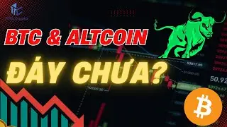 AE c&ograve;n giữ coin kh&ocirc;ng? Đ&acirc;y l&agrave; l&uacute;c thử th&aacute;ch niềm tin thật sự! / Tips Crypto