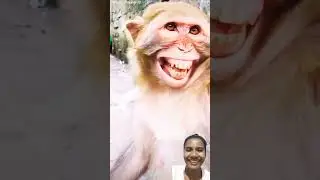 Funny video 😃😃😆😆😆#viralvideo #birthdaycelebration #party #villa #shorts #subscribe #status #insta