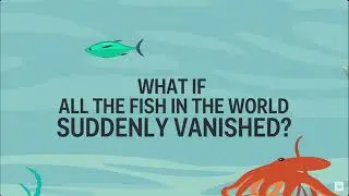 Animal Presentation
