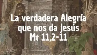 La verdadera Alegría que nos da Jesús